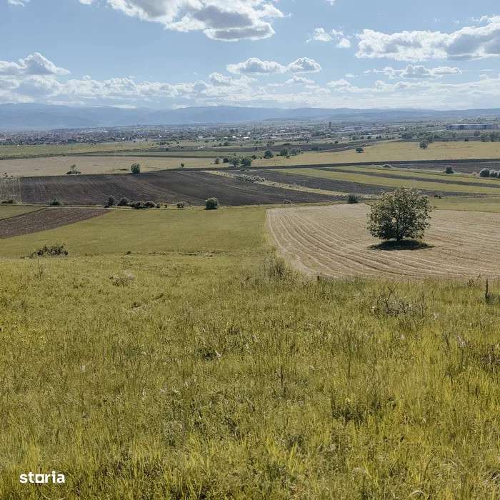 Teren extravilan de vanzare | 4600 mp | in zona Gusterita - Imagine principală: 1/3