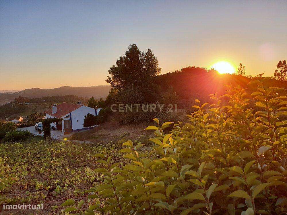 Moradia T2 com piscina, anexo e casa móvel – Matacães, Torres Vedras - Grande imagem: 2/58