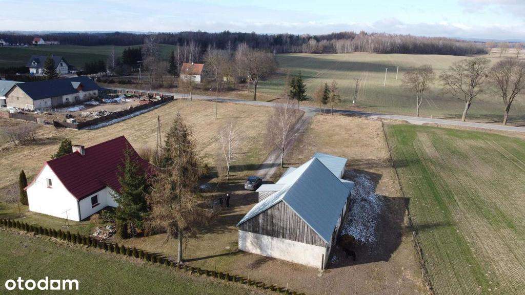 FRYGNOWO, DOM 109M2, DZIAŁKA NR. 331, 5536M2, GARA - Pełny obrazek: 4/10