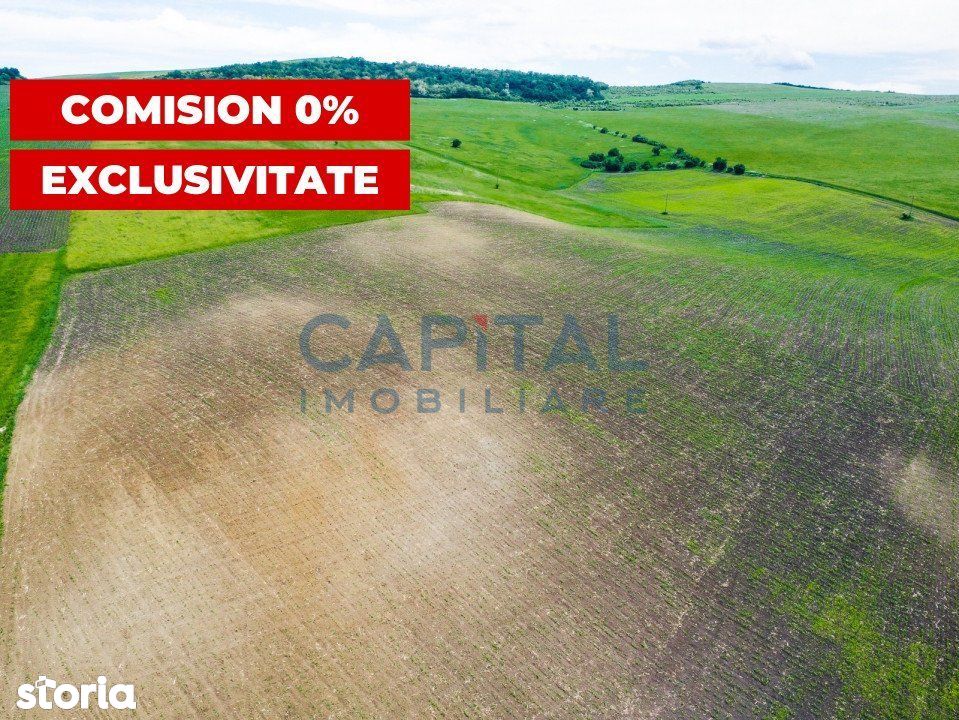 Teren extravilan arabil  in Sat  Cojocna zona Ferma Larga  COMISION 0%