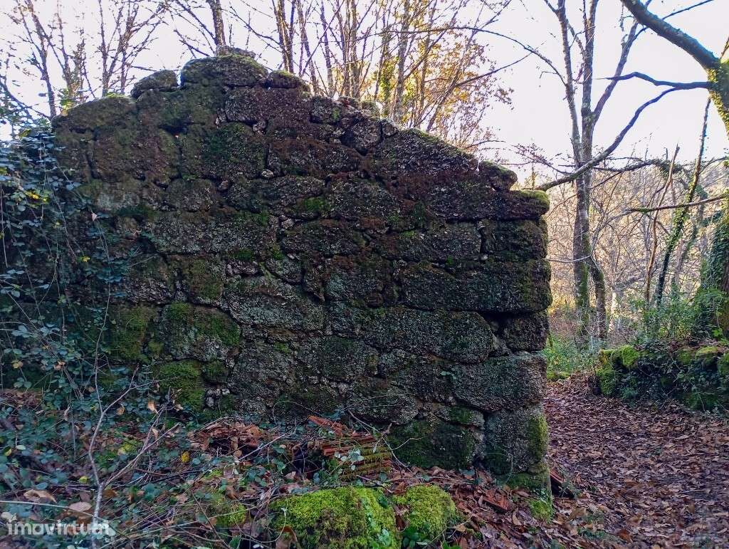 Quinta c/ Ruína - Mosteiro - Grande imagem: 3/23