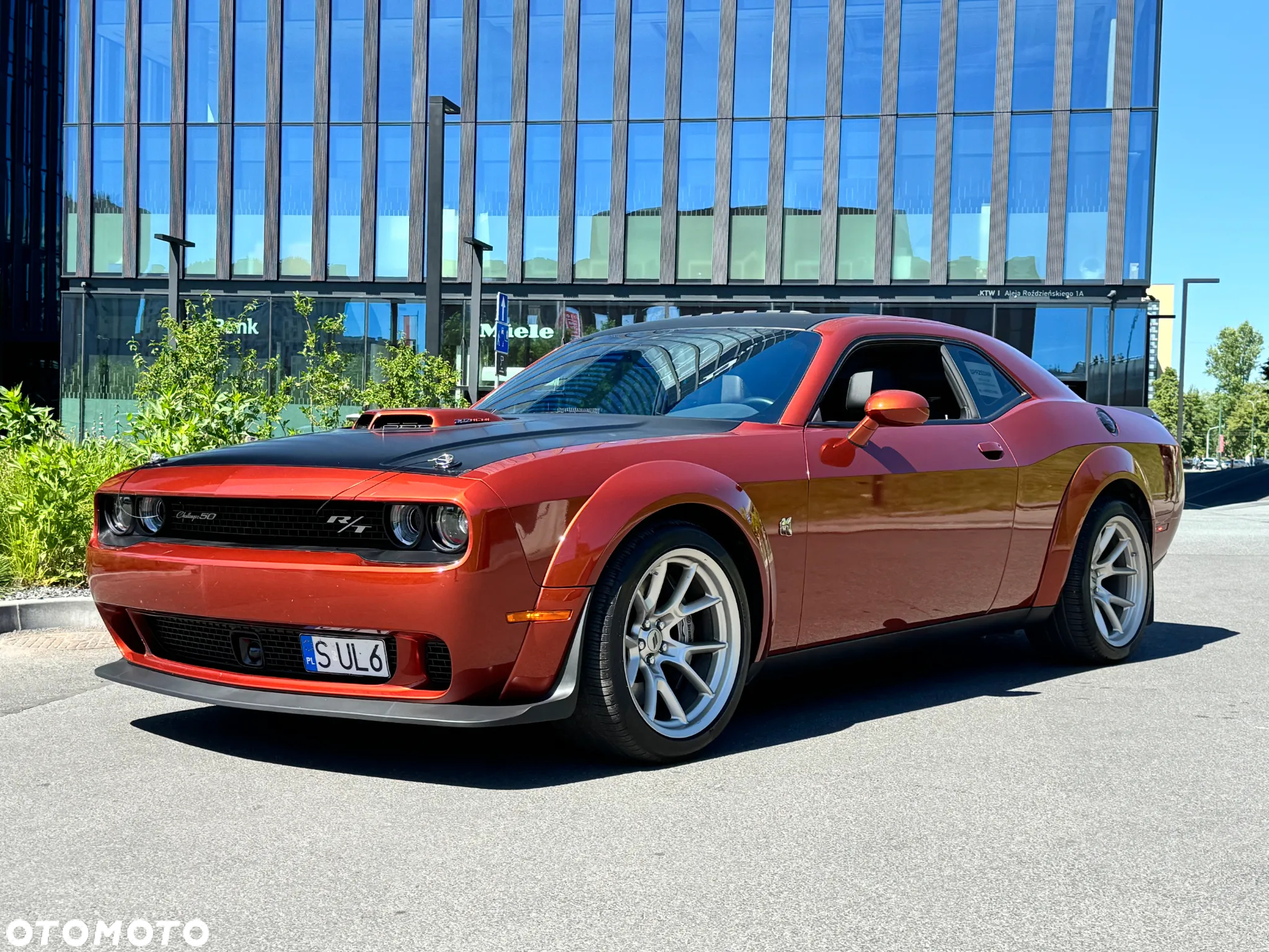 Dodge Challenger Automatik 392 Hemi Scat Pack Shaker - 10