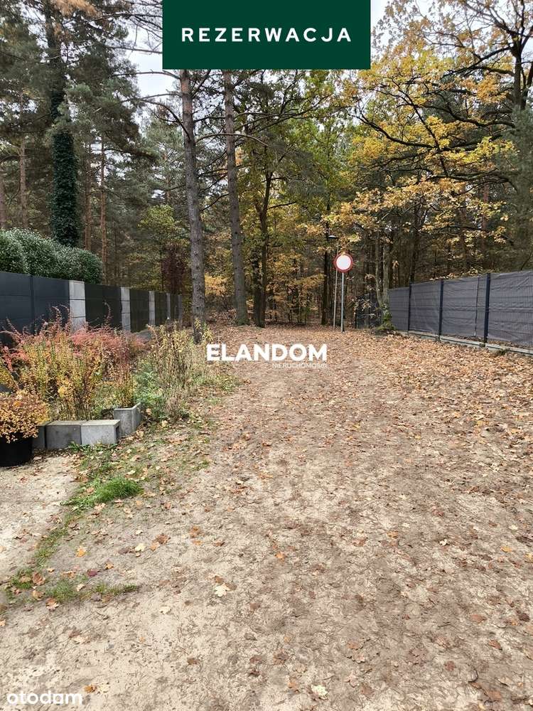 Działka w otulinie lasu - Stara Miłosna - Pełny obrazek: 5/6