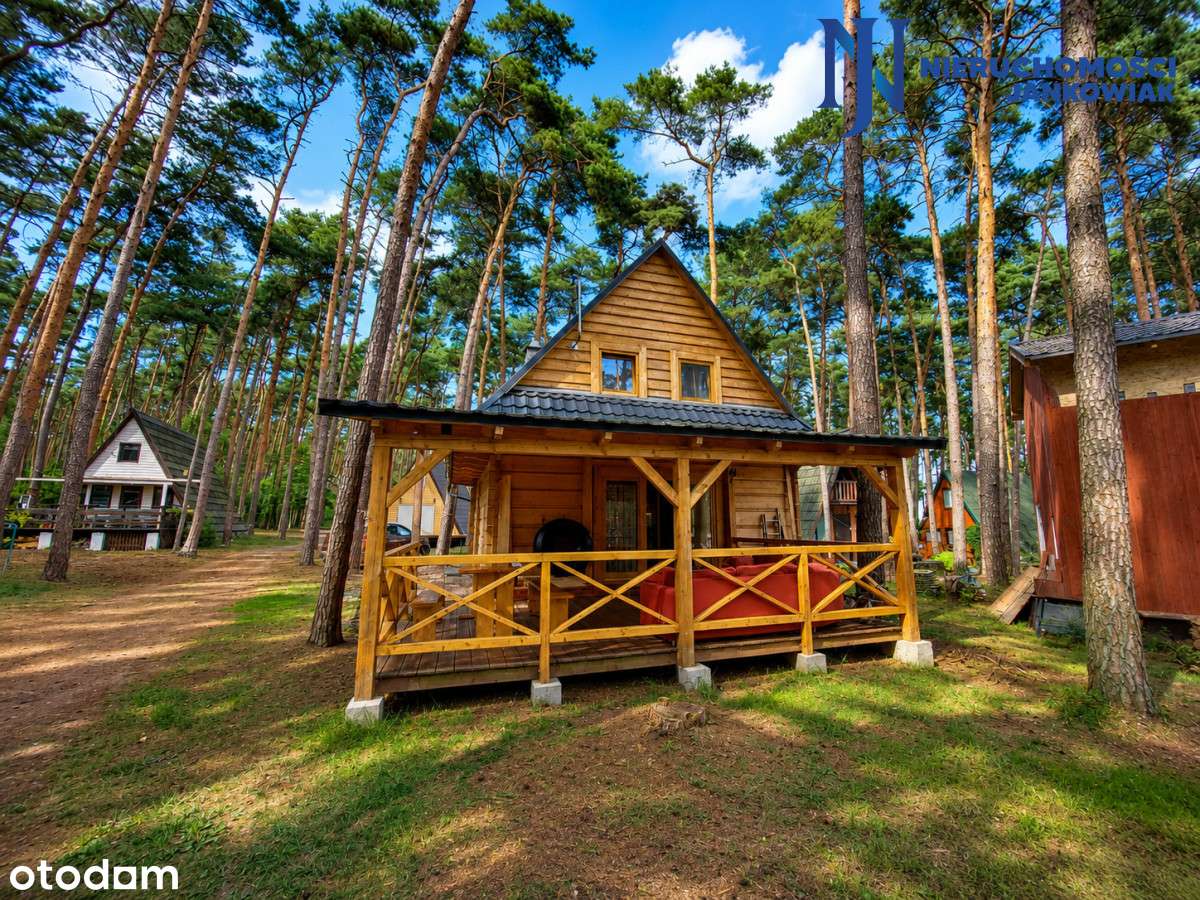 Domek nad Jeziorem Błędno | Las i plaża