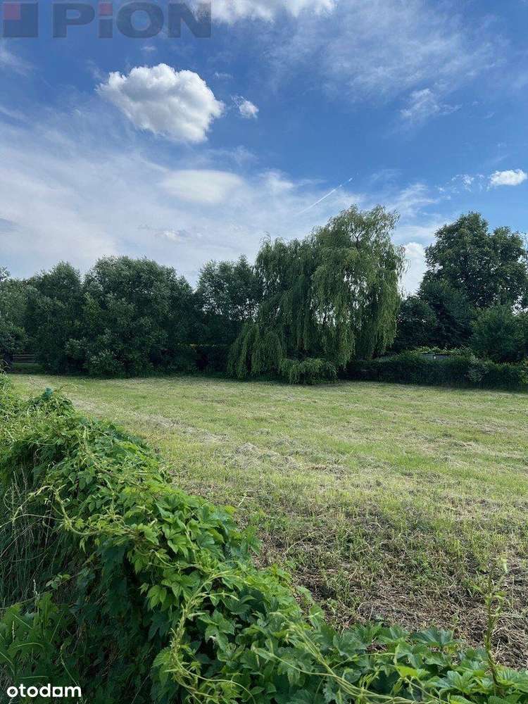 Duża działka w pożądanej lokalizacji w Lusowie - Pełny obrazek: 4/5