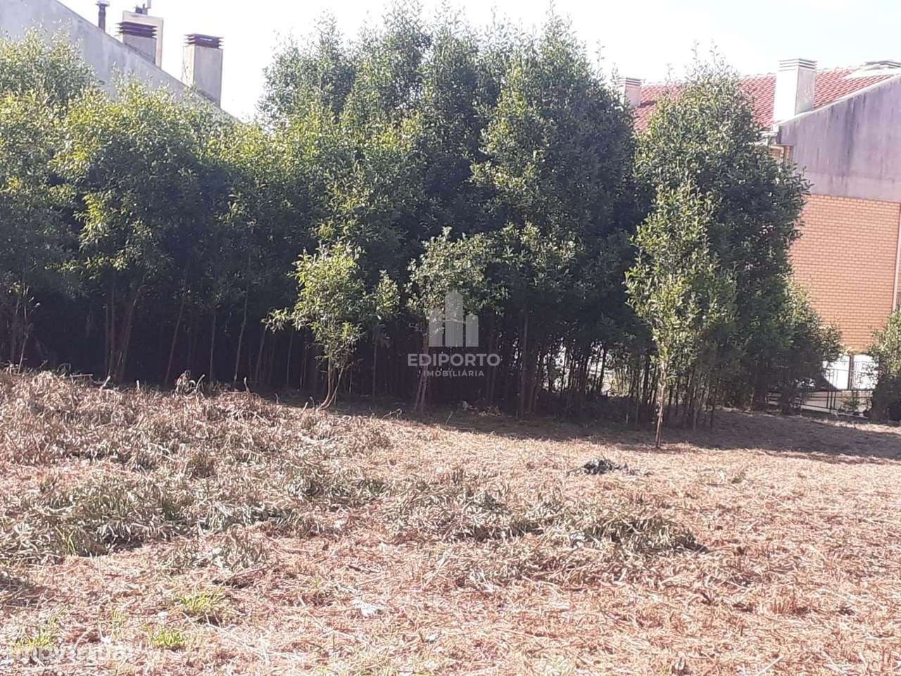 Terreno à venda na Rua dos Amores, Pedroso, Seixezelo. - Grande imagem: 1/3