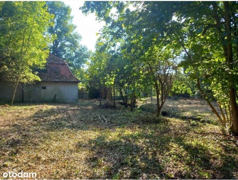 Wyjątkowa,1-ha działka z domem do renowacji 10min od Legnicy i Lubina - Pełny obrazek: 5/8