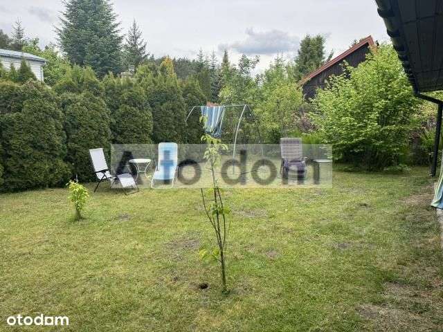 Rekreacja,10 Km Od Minska Mazowieckiego W Lesie-13