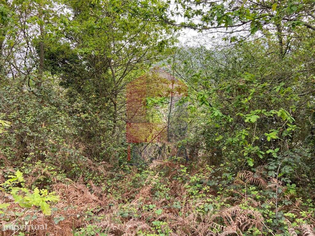 Terreno florestal em Penascais, Vila Verde - Grande imagem: 5/17