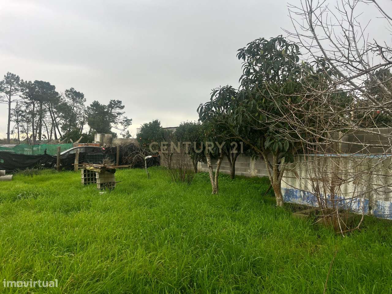 Terreno Rústico – Parcela de 1.200 m² em Pinhal das Formas - Quinta do - Grande imagem: 3/8