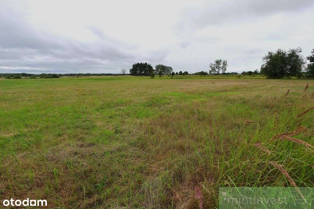 Działka rolna 4,86 ha Żarnowo-4