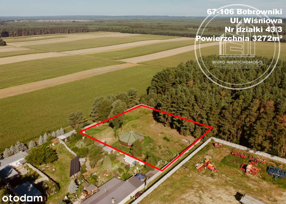 Atrakcyjna działka przy ścianie lasu / Bobrowniki - Pełny obrazek: 5/5