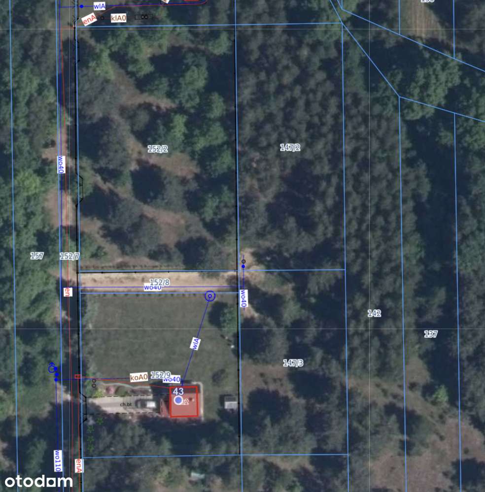 Działka 998 m² pod zabudowę rekreacyjną – Borówek, 45 min od Warszawy - Pełny obrazek: 5/6