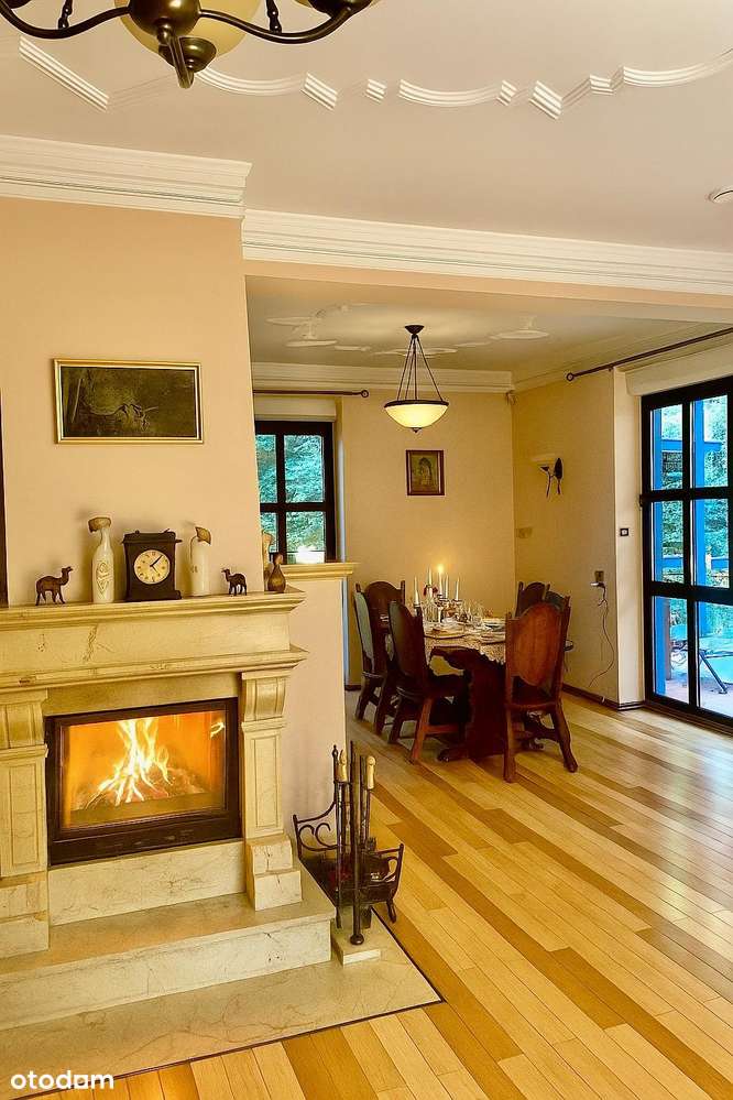 Rezydencja przy lesie w kameralnej okolicy. Blisko Świdnica, Wrocław. - Pełny obrazek: 5/13