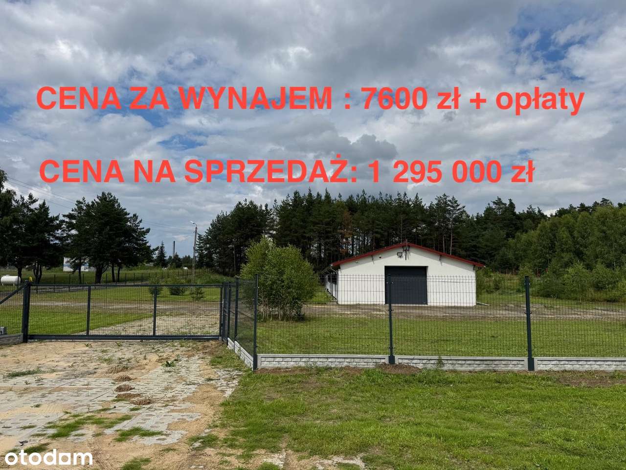 Hala magazynowo - produkcyjna z powierzchnią biurową - Pełny obrazek: 2/5