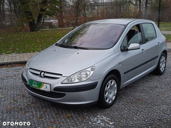 Peugeot 307 1.6 Premium - 12