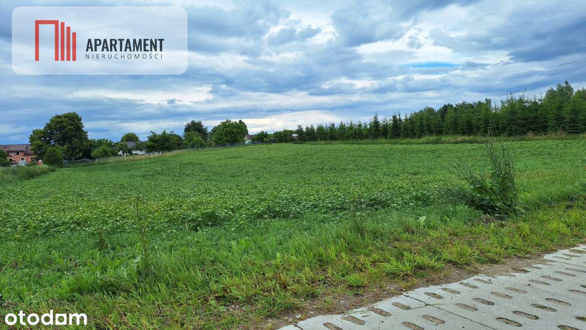Unikatowa Działka z wydanymi W.z na 3 domy Garczyn - Pełny obrazek: 5/8