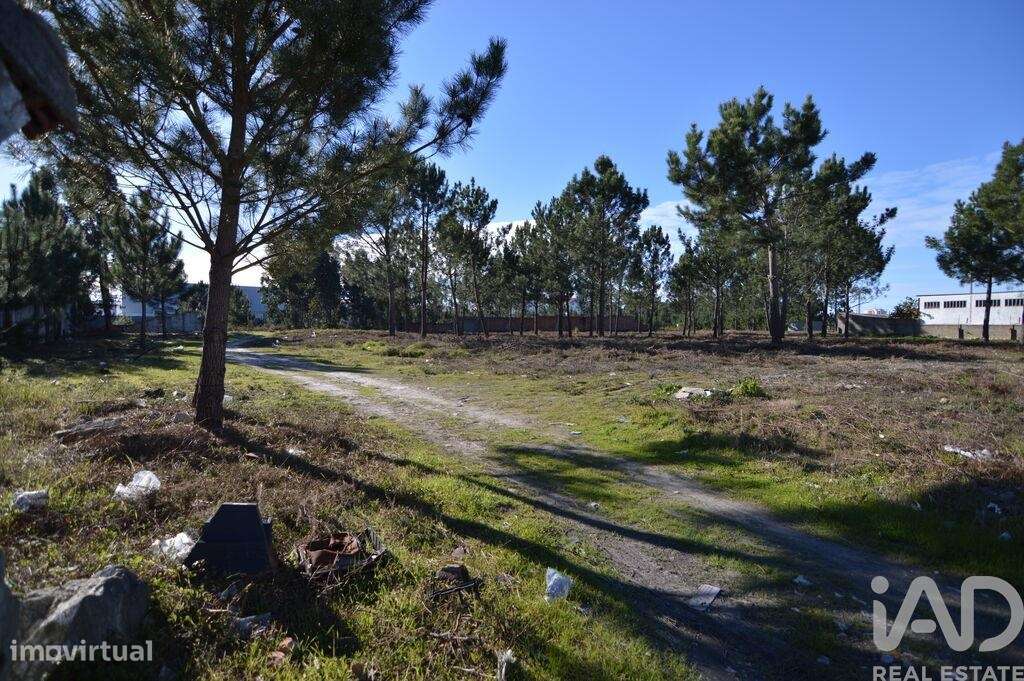 Terreno para construção em Marinha Grande - Grande imagem: 3/4