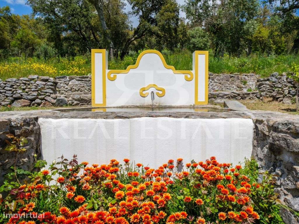 Quinta - 11 hectares com 6 casas, na Serra de São Mamede, Alentejo-6