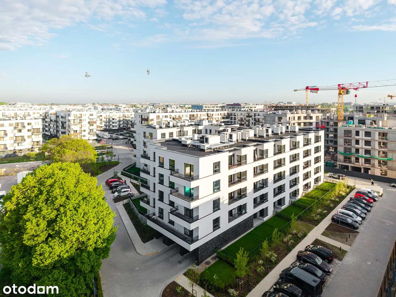 Gotowiec inwestycyjny z garażem niedaleko lotniska - gotowe do odbioru-1