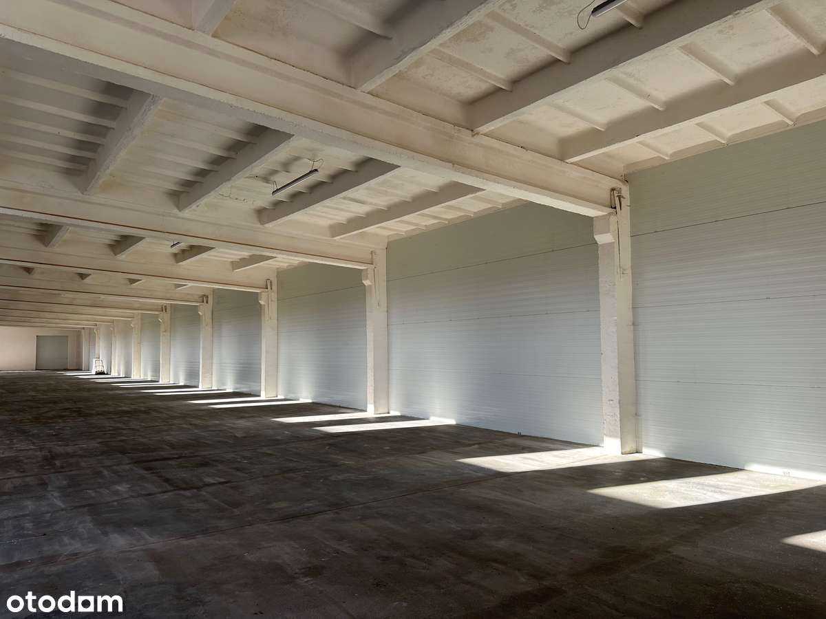 Hala 1600 m2 + plac 13.000 m2 utwardzony monitorowany - Pełny obrazek: 5/20