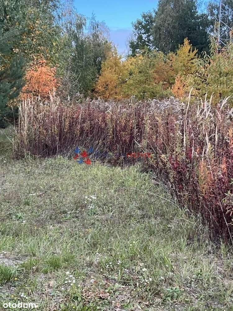 Wszystkie media blisko szkoły-2