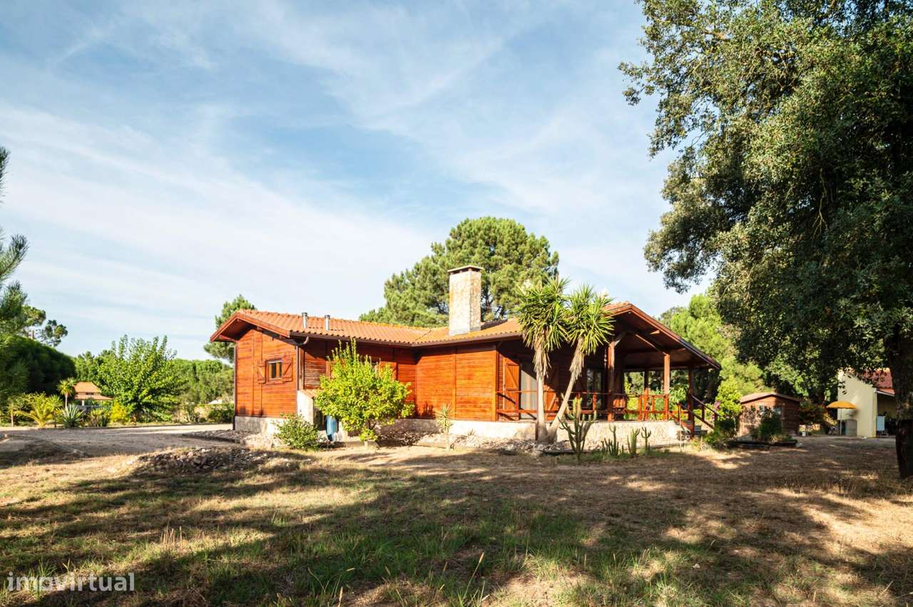 Moradia T3 carismática com terreno de 5.000m2 - Grande imagem: 5/34