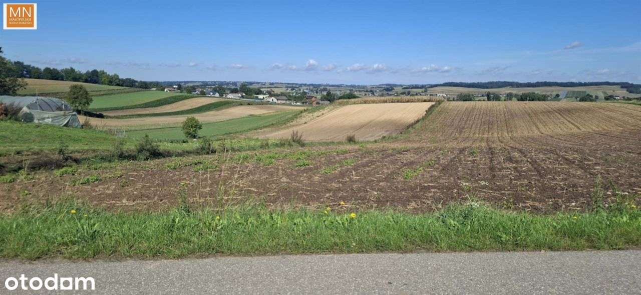 Koszyce,Rachwałowice,Działki 1,2142haRolne-3