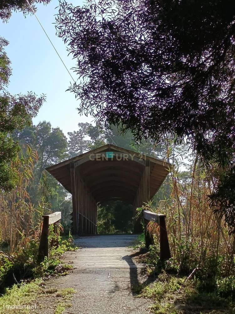 Casa Rústica em Mira, Coimbra - Oportunidade de Recuperação-32