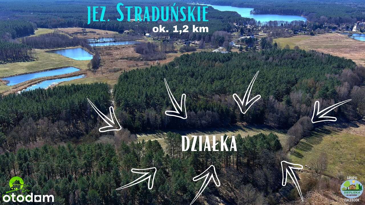 ENKLAWA prezentuje: MEGA działka pod DUŻE siedlisko! 3 km od Trzcianki - Pełny obrazek: 3/20