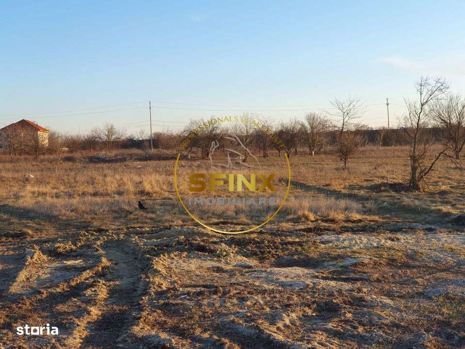 Teren intravilan | Soseaua Alexandriei | 5000mp | posibilitate 20.000m-4