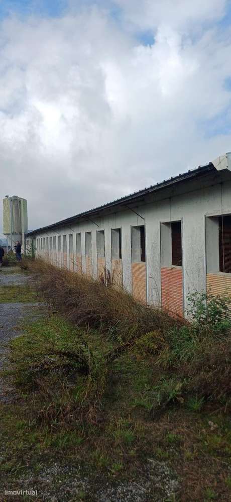 Lote 12.750 m² com 5 Armazéns | Acesso imediato à A41 | Oportunidade Ú-13