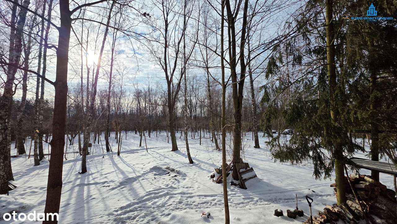 Złotokłos – ul. Urocza / ul. Topolowa 7596m2 (76ar), 84m x 91m-1