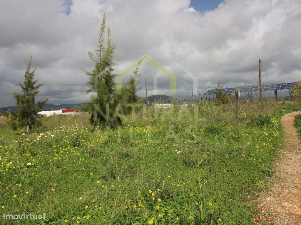 Terreno com Viabilidade Construtiva, Conceição de Faro - Grande imagem: 5/8