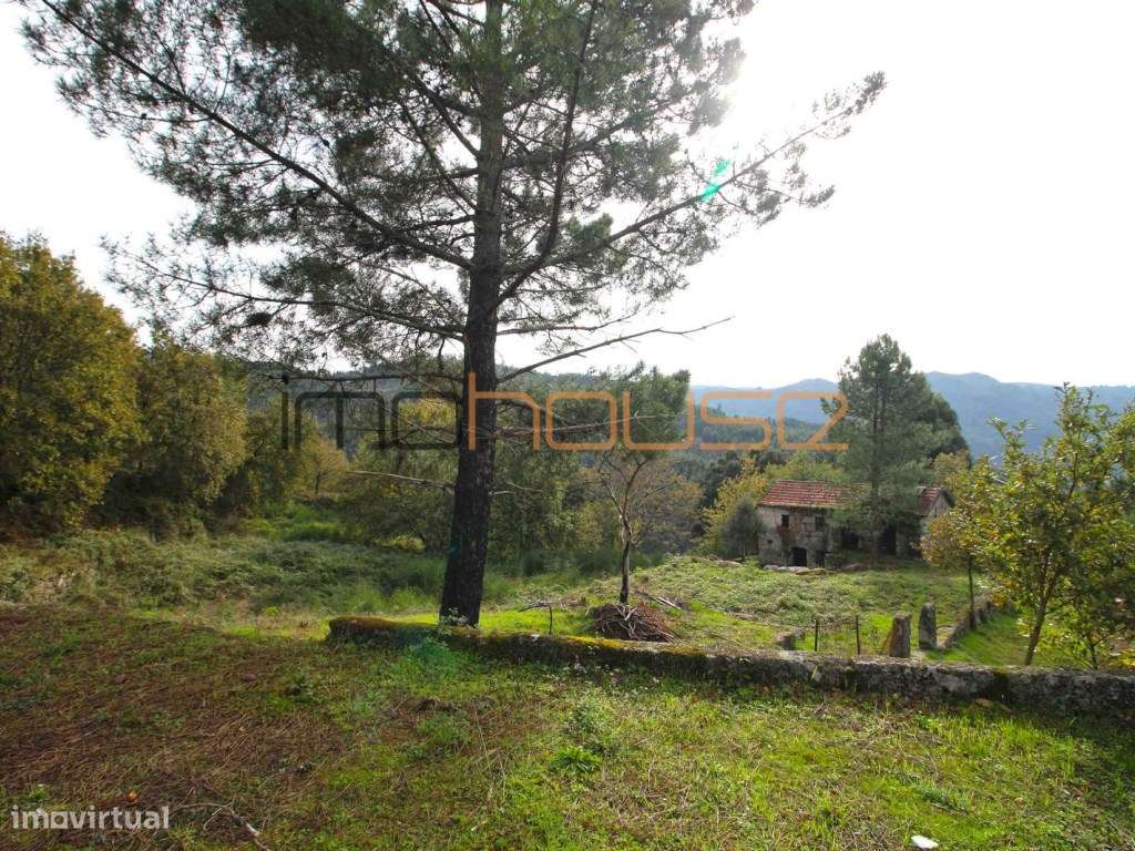 Quinta isolada - Amarante-4