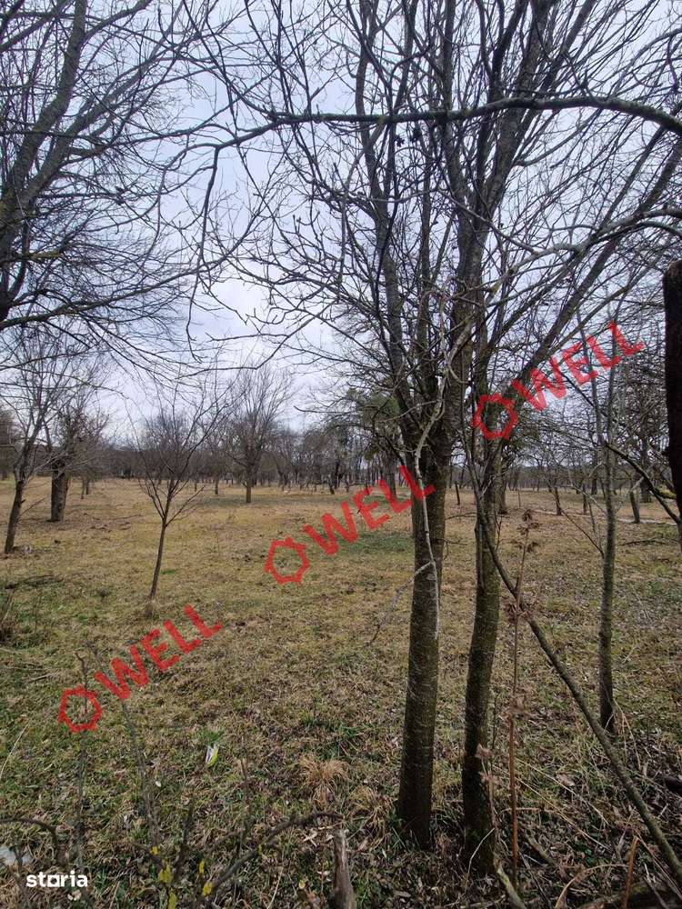 De vânzare teren intravilan în satul Viscrii - Imagine principală: 5/6