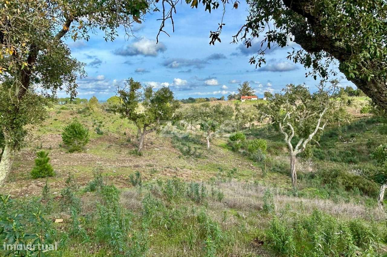 Terreno Rústico com 18 Hectares - Grande imagem: 5/19