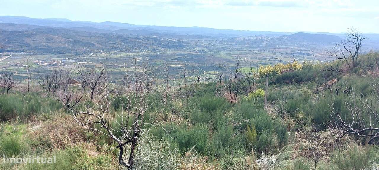 Venda Judicial Casa em ruínas V1 Corujeira Gonçalo Guarda - Grande imagem: 5/33