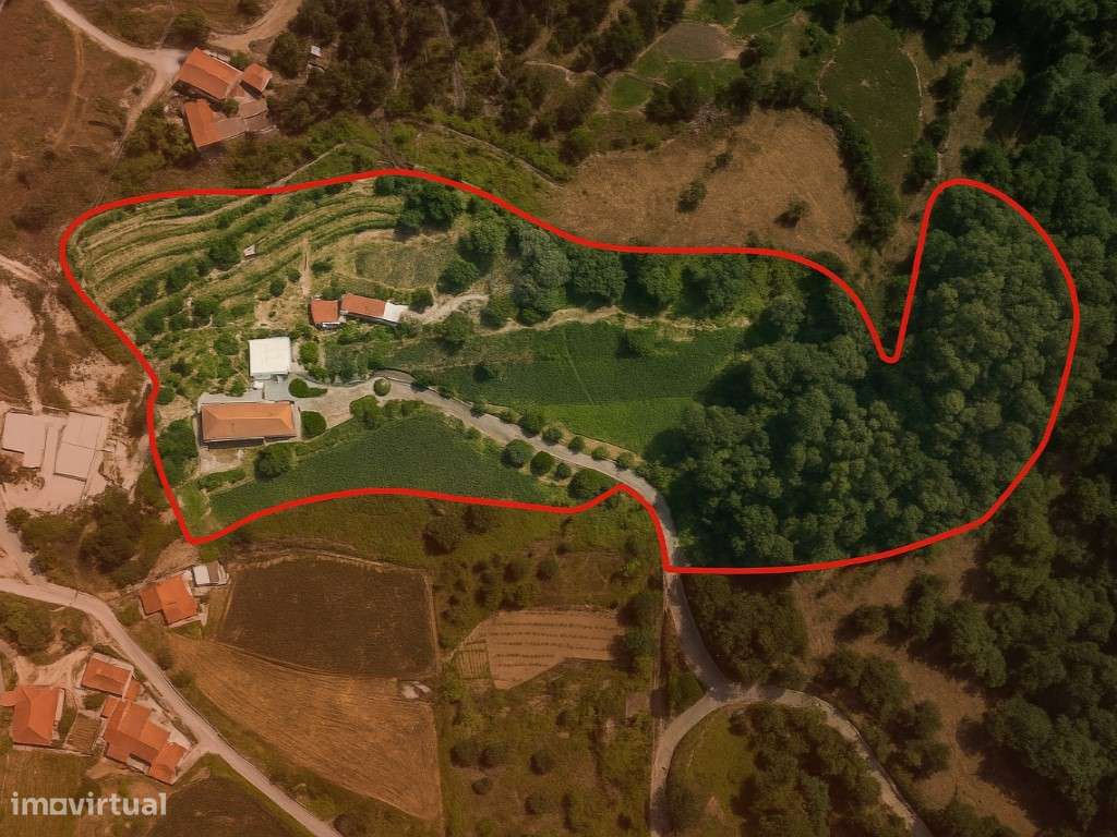 Quinta com 20.000 m² para Venda - Penacova-6