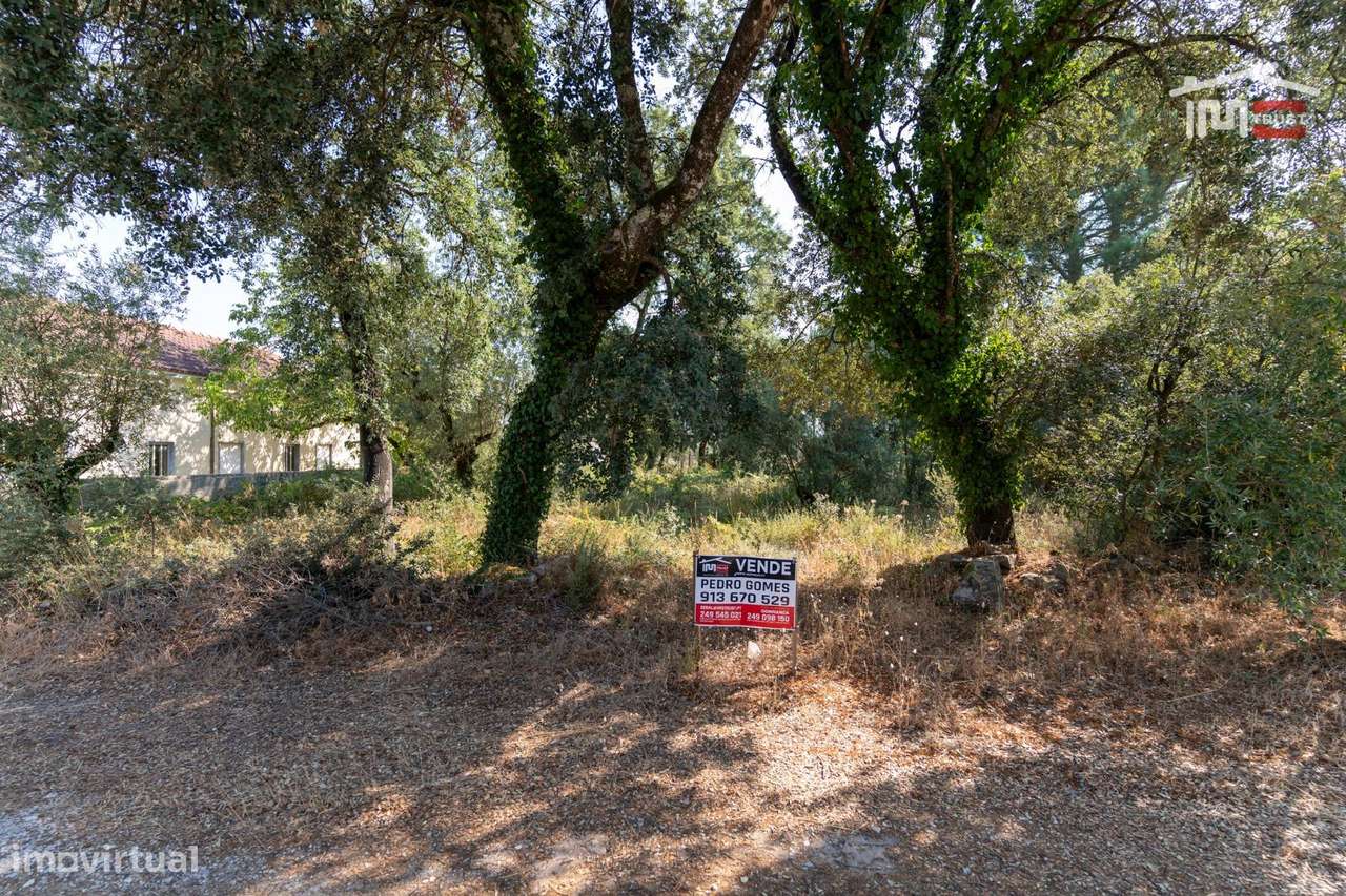 Terreno Rústico com viabilidade de construção em Maxieira, Fátima - Grande imagem: 4/14