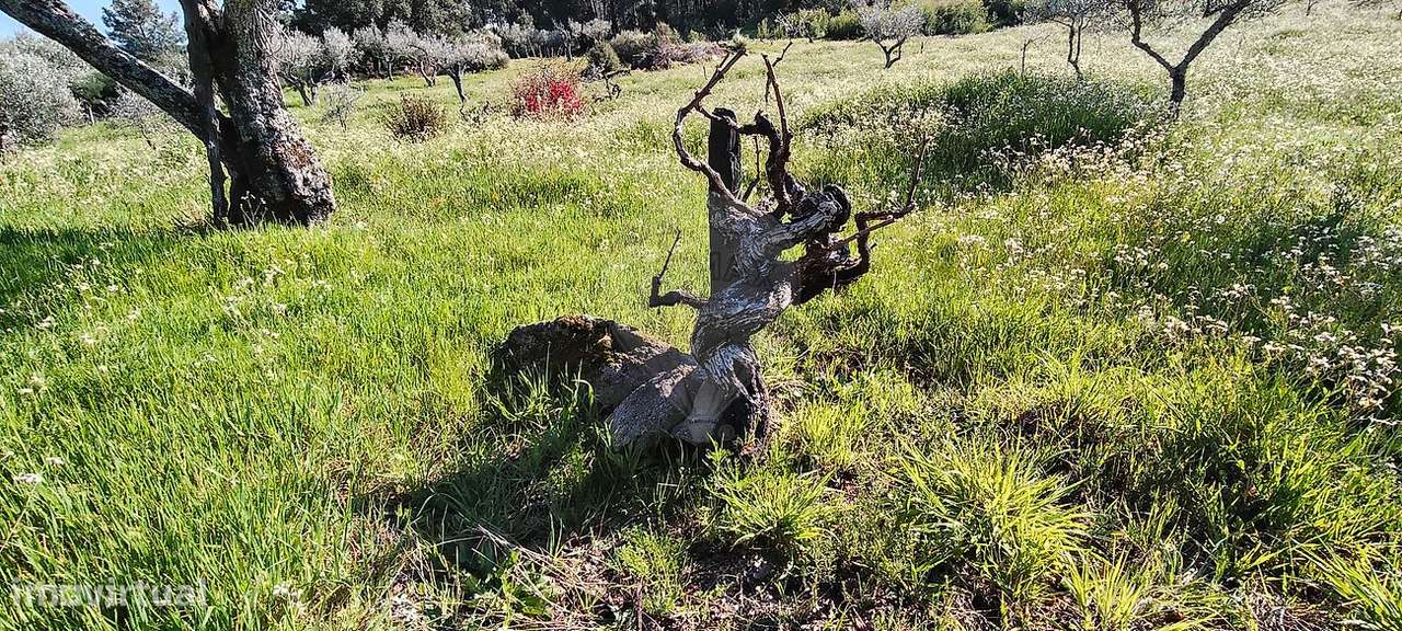Terreno  para venda - Grande imagem: 2/10