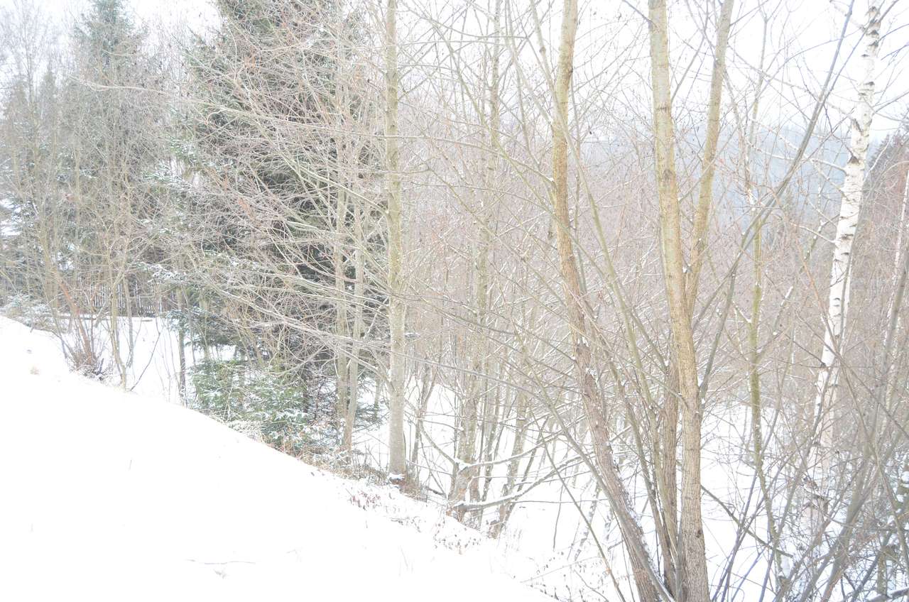 Teren intravilan situat in Predeal-6