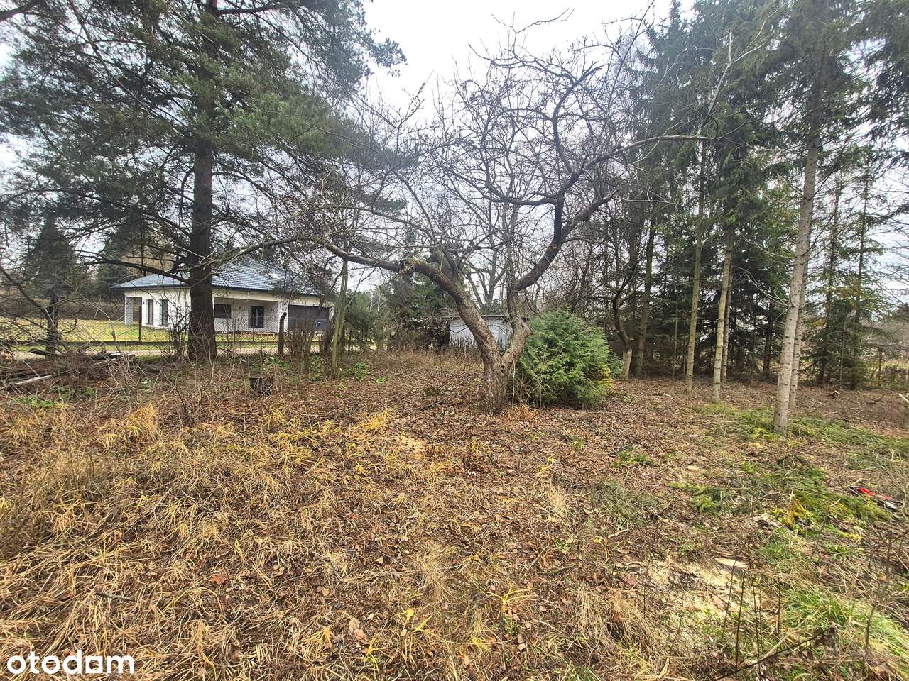 Atrakcyjna działka blisko Łodzi.-1