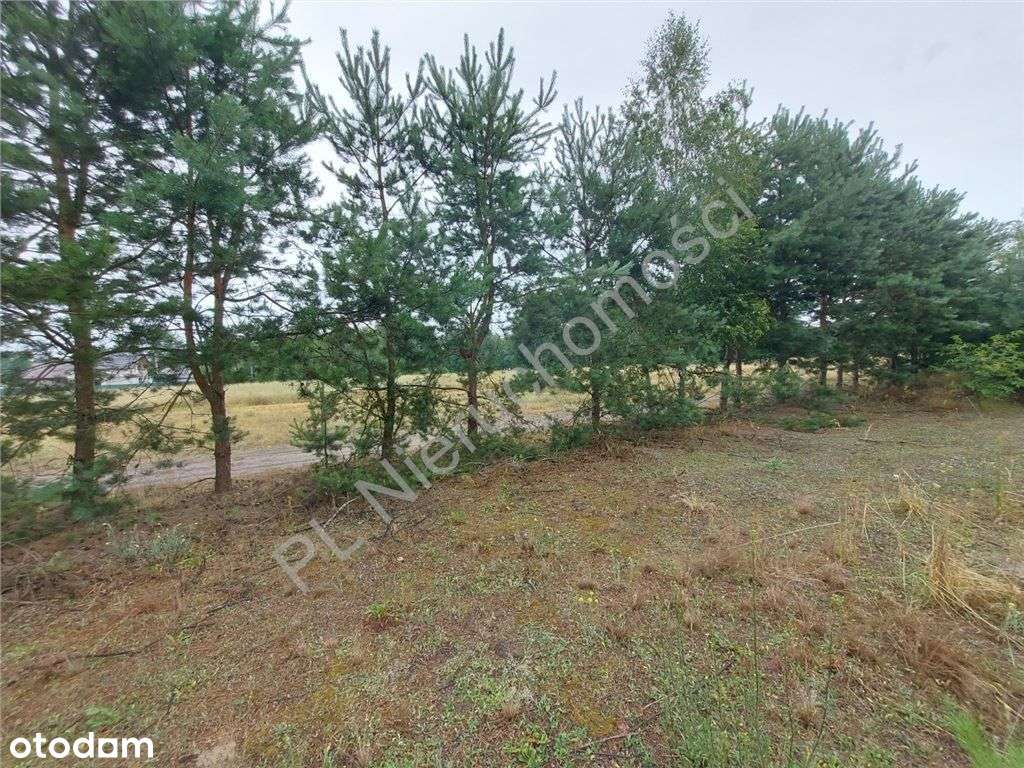 Działka Budowlana W Głuszy Rezerwatu-15