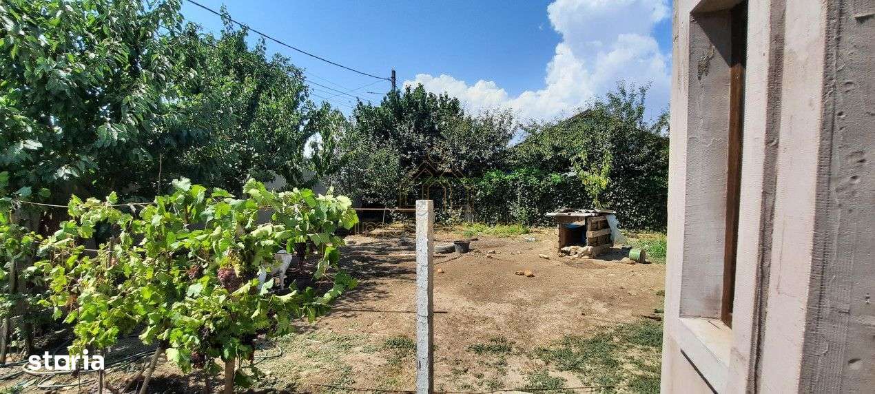 Cumpana | Spațiu și curte generoasă! | Casa familiei tale!-8