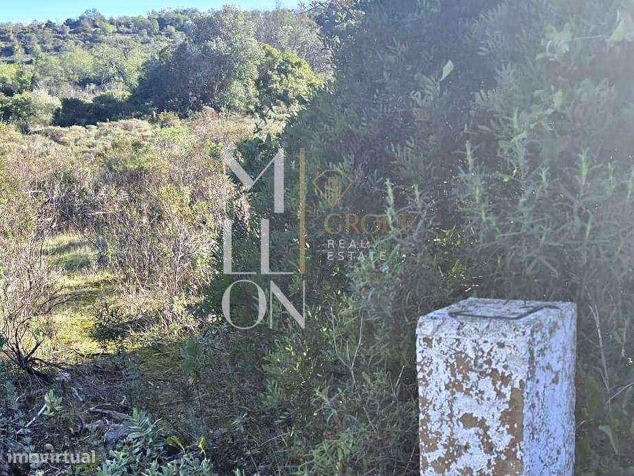 Terreno rústico com 4.000 m2 – Excelente oportunidade - Grande imagem: 4/7