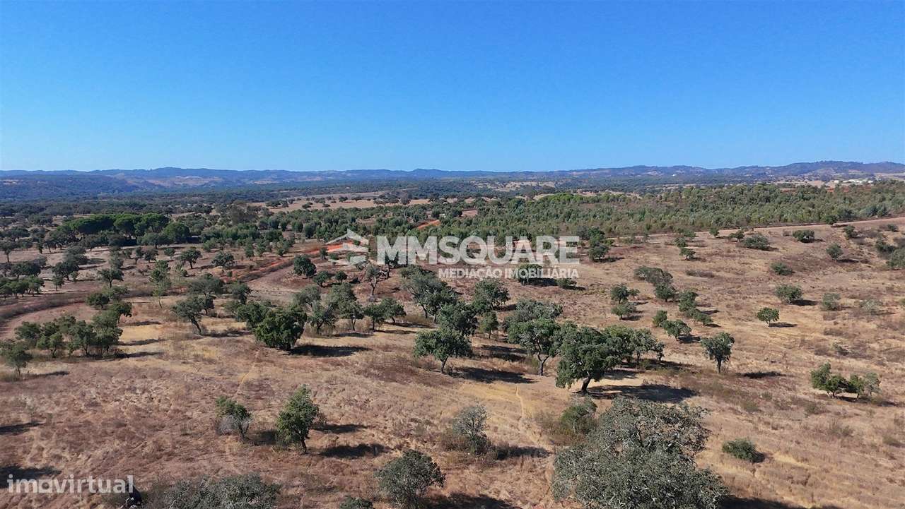Herdade  Venda em Garvão e Santa Luzia,Ourique-28