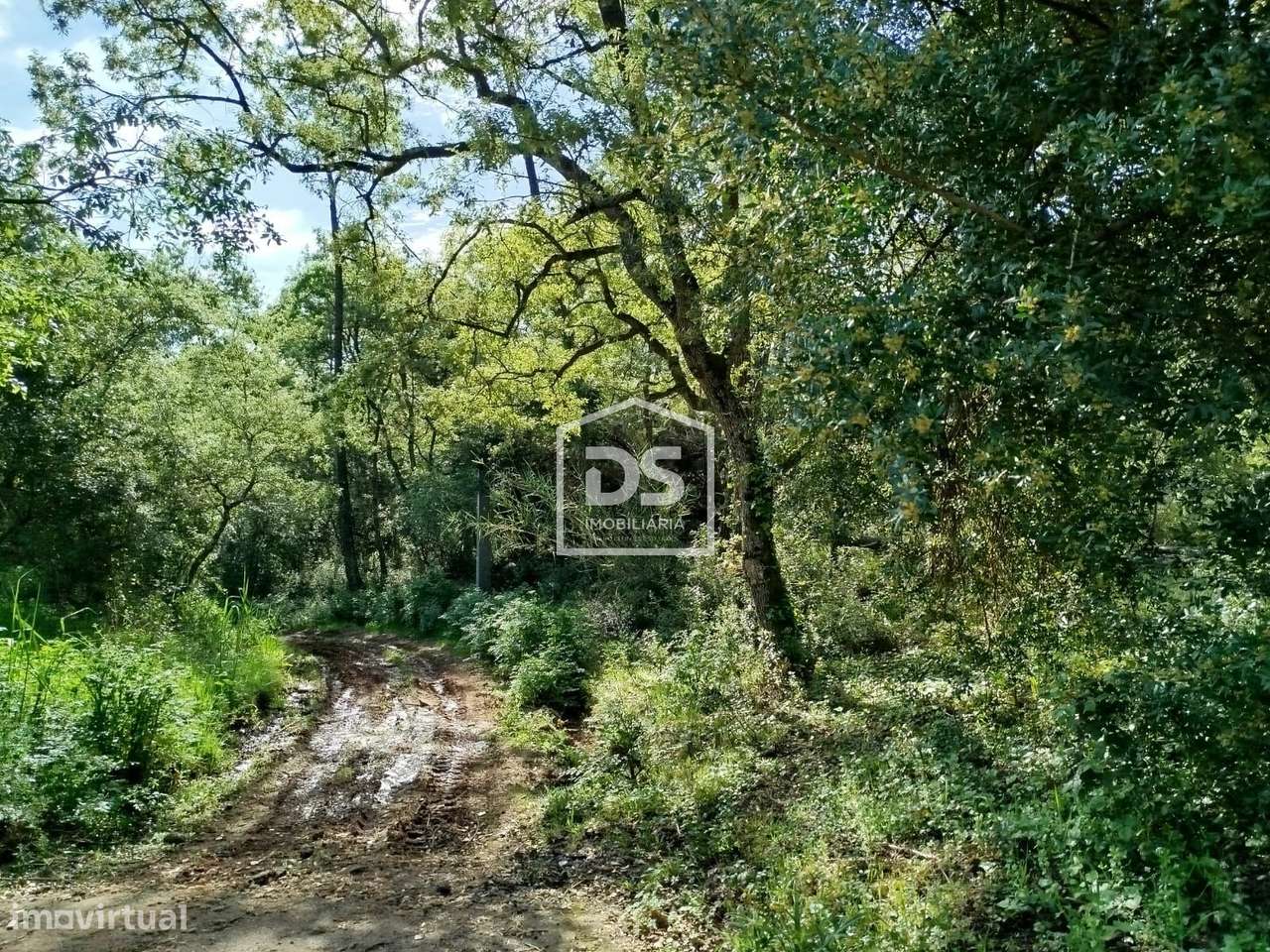 Terreno  Venda em Évora de Alcobaça,Alcobaça-5