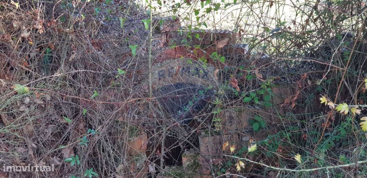 Terreno  para venda - Grande imagem: 5/7