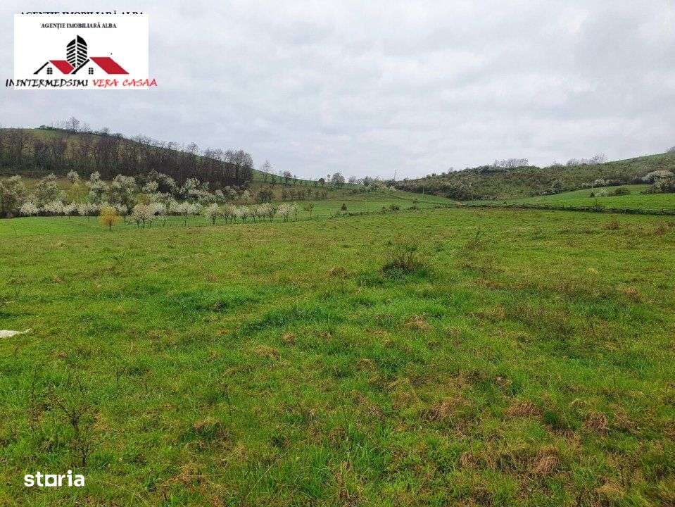 Teren de vanzare 33 de hectare Inuri Jud Alba - Imagine principală: 5/15